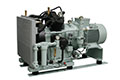 Sauer WP311L Compressor